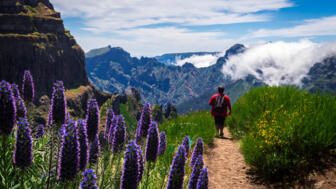 Wanderer im Zentralmassiv Madeiras mit Blumen und Bergen
