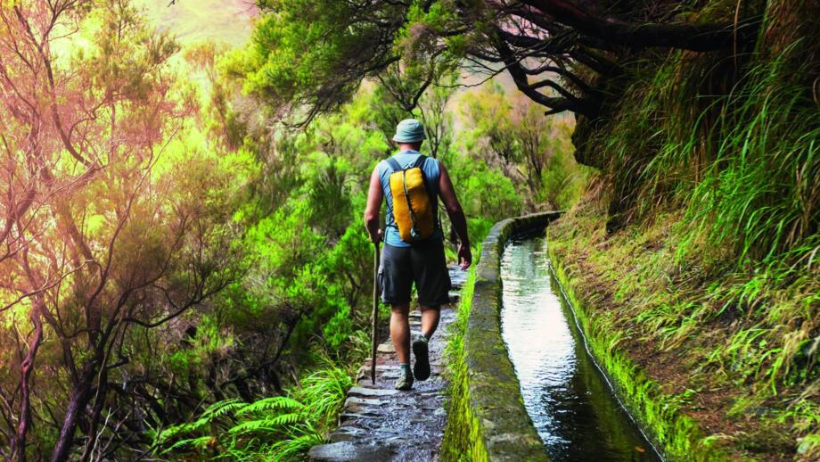 Wanderer auf Madeira mit Levada und grüner Vegetation