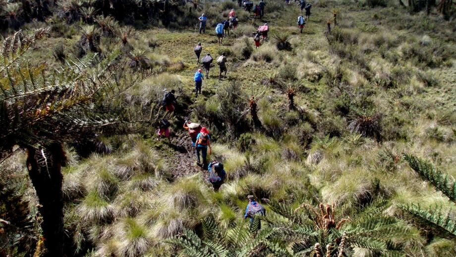 expeditionen-papua-2009-carstensz-pyramide-natur-panorama-landschaft-berge-fluss-teilnehmer-gruppe-einheimische-traeger-our-trek-4.jpg
