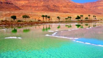 Totes Meer in Jordanien mit Palmen
