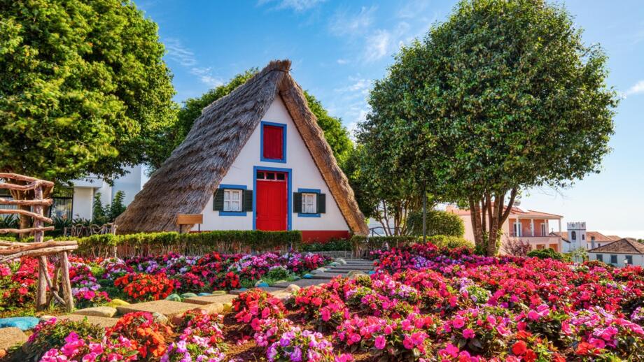 Bunte, Reetgedeckte Häuschen vor einem roten Blumenmeer in Santana