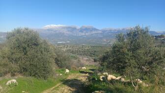 europa-griechenland-GIWAN-Wanderung 4 Agia Triada - Matala (1).jpg