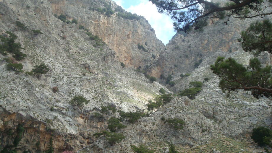 europa-griechenland-GIWAN-Wanderung 5 Rouvas-Schlucht (5).jpg