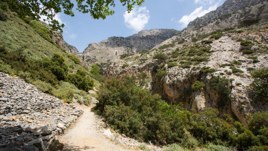 europa-griechenland-kreta-rouvas schlucht-shutterstock_1123134341.jpg