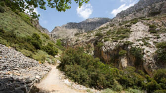 europa-griechenland-kreta-rouvas schlucht-shutterstock_1123134341.jpg