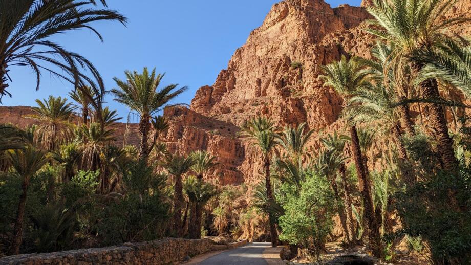 Palmengesäumte Ait Mansour Schlucht i