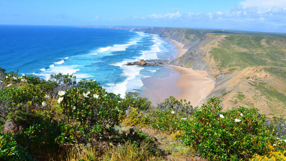 Strand, Wellen und Blumen an der Costa  Vicentina