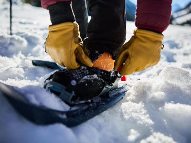 Schneeschuhwandern