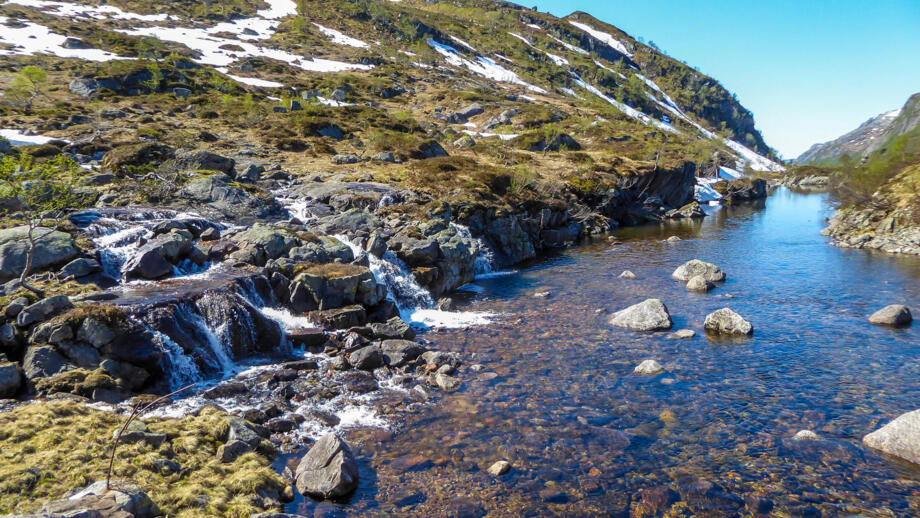 Sommerlandschaft am Lysefjord in Norwegen