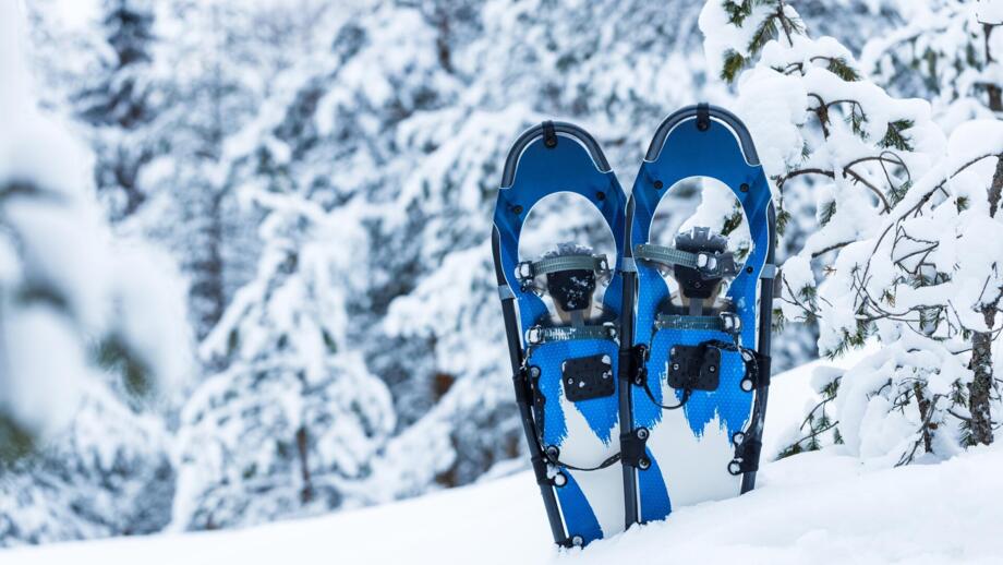 Schneeschuhe