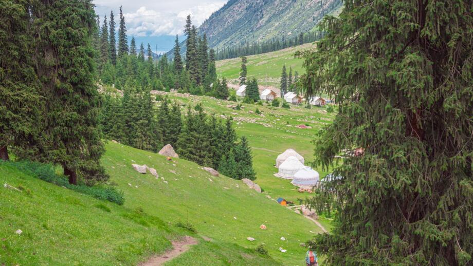 Wälder, grüne Wiesen, Yurten und Zelte