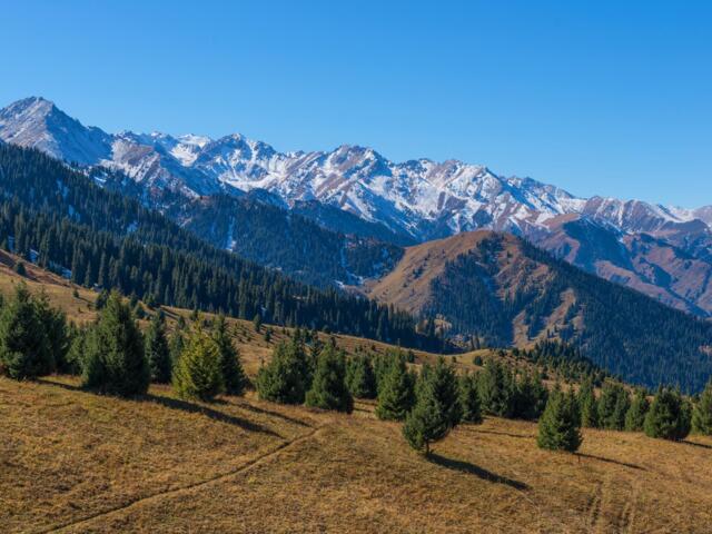 Wiesen und Berge vor eisigen Bergen