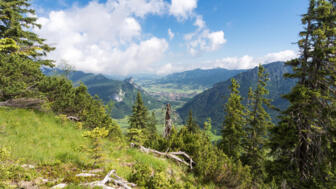shutterstock_292589468.jpg