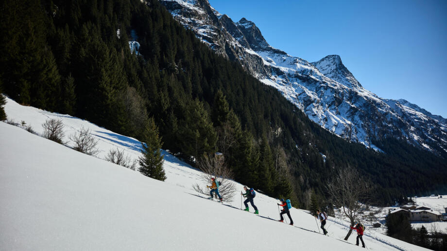 Gruppe im Aufstieg mit Skitourenski und Fellen