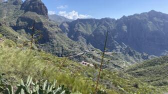 spanien-kanaren-teneriffa-teno gebirge-img-4995.jpg