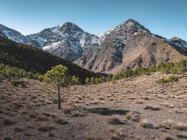 Berglandschaft im Hohen Atlas in Marokko