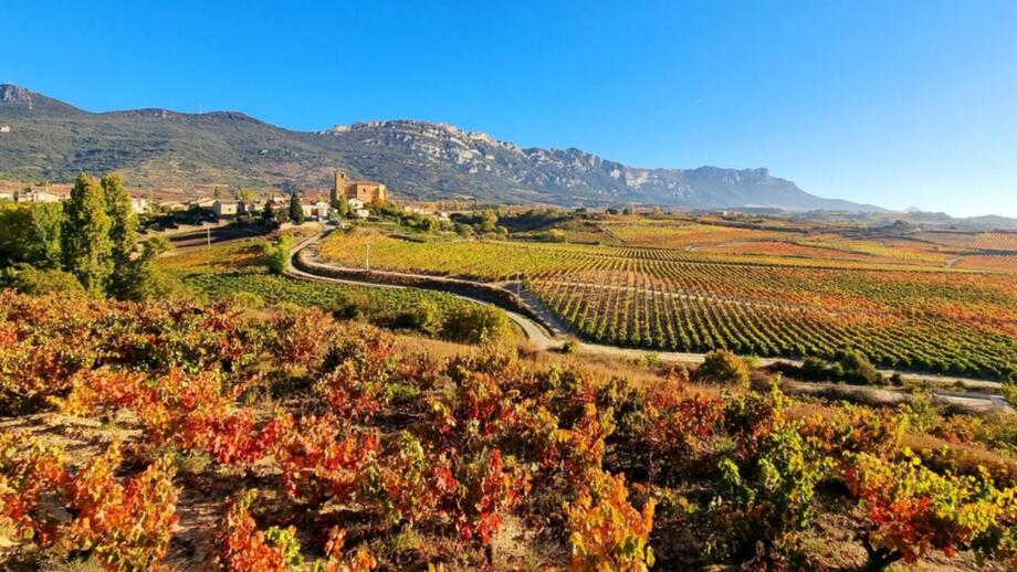 europe-spanien-esrio-rioja-weinberge-region-alavesa-straße-nach samaniego-shutterstock_2065920800.jpg