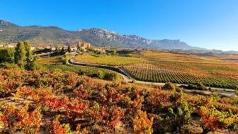 europe-spanien-esrio-rioja-weinberge-region-alavesa-straße-nach samaniego-shutterstock_2065920800.jpg