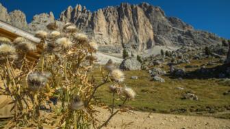 Die karge Landschaft der Dolomiten bei bestem Wetter