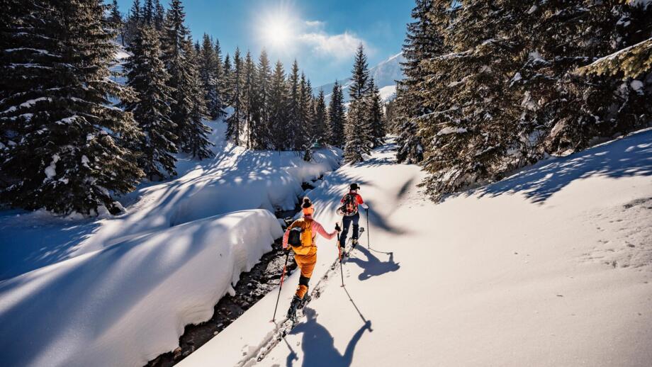 skitour-schneelandschaft-allgemein-skitourengeher-tourenski-shutterstock-2133251833.jpg
