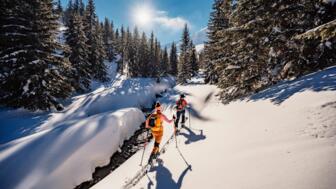 skitour-schneelandschaft-allgemein-skitourengeher-tourenski-shutterstock-2133251833.jpg
