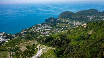 Luftaufnahme auf die Küste Ischia