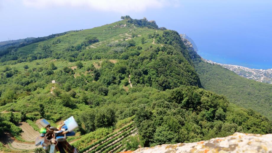 Blick auf den inaktiven Vulkan Monte Epomeo, grüne Landschaft, liebesschlösser im Vordergrund