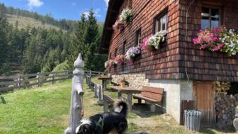 Ein Hund vor einem Bauernhaus