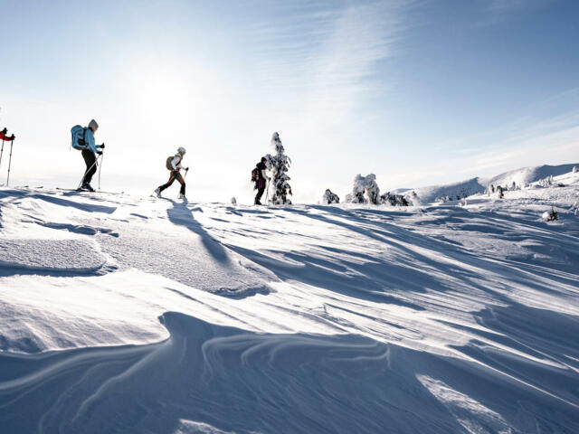 Young Summits: Kombikurs Tiefschnee und Skitour