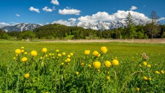 Aussicht auf die Bergwelt