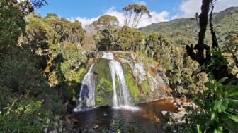 Wasserfall bei Abstieg von der Margharita Spitze in Uganda