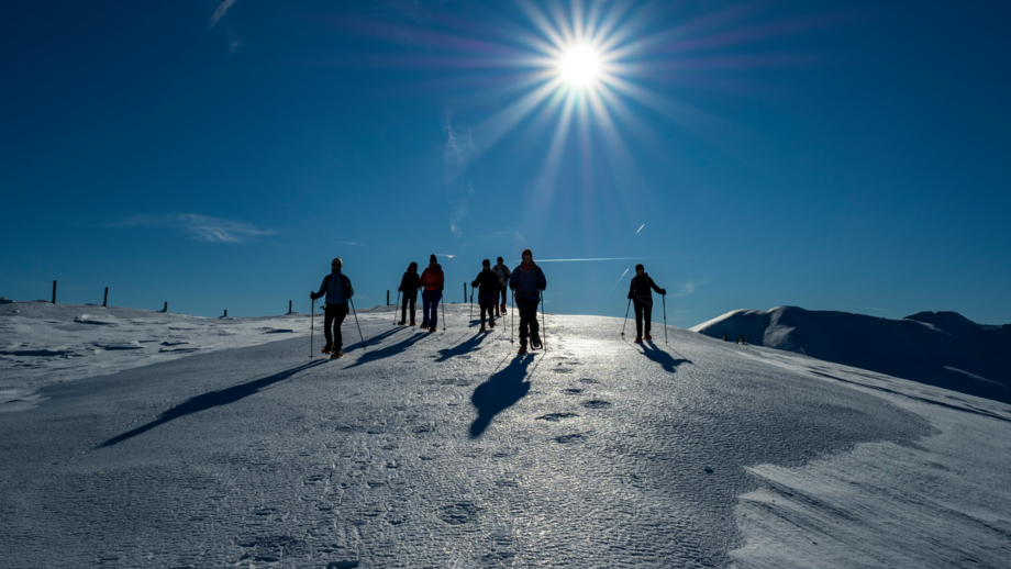 Österreich_Brennerberge_Almis_SWHBREN (11).jpg