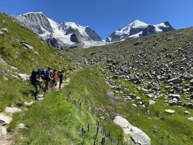 Der Bernina-Trek: Hütten-Wanderwoche durch das Engadin
