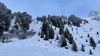 Schneelandschaft im Kühtai