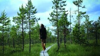 Wandern in der Natur Finnlands