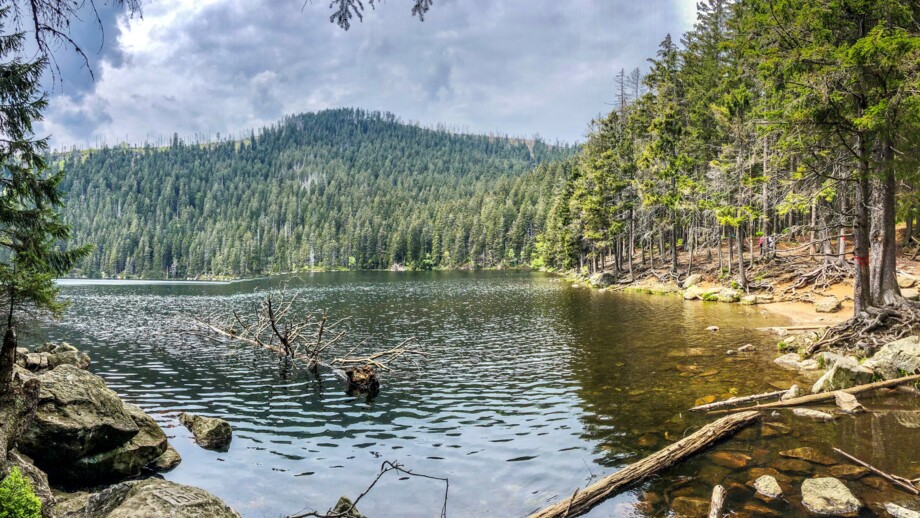 20190527 teufelssee sumava sandra_schrönghammer.jpg