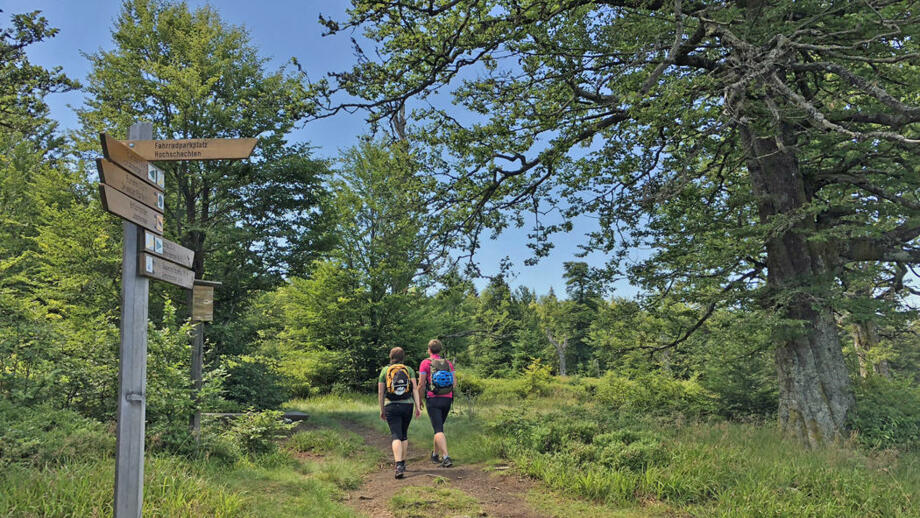 20180703 schachten hochschachten wandern beschilderung wanderweg sandra_schrönghammer (17).jpg