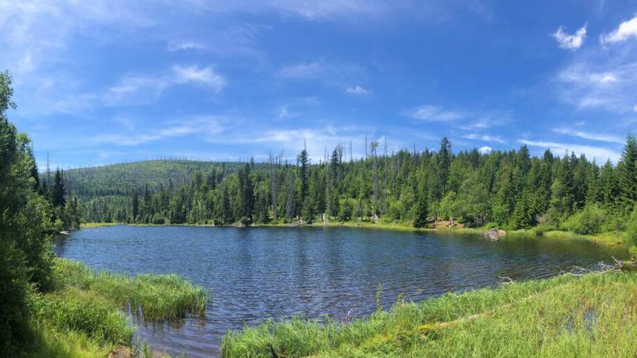 20190720 lakasee sumava sandra_schrönghammer (2).jpg