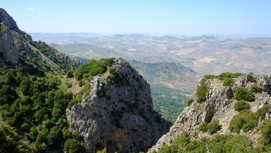 DSCF7372.jpg