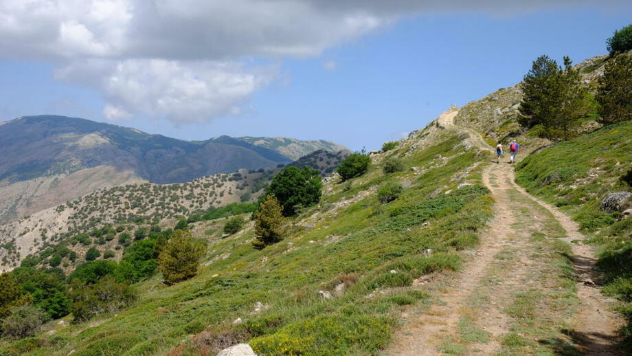 Italien_Sizilien_Madonien_ITSIB_Wanderer_DSCF7378.jpg