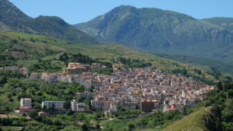 DSCF4617.jpg