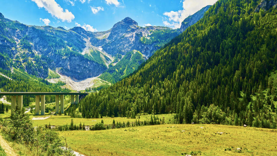 Alpine Landschaft: Berge, Wiese, Almen, Sonnenschein