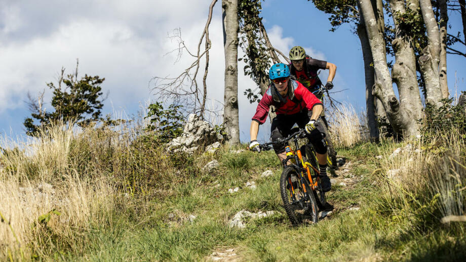 Mountainbiker in der Abfahrt auf einem Single-Trail.