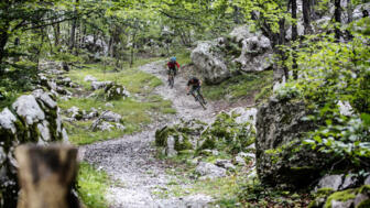 Mountainerbiker*innen in der Abfahrt auf einem Single Trail