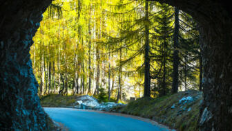 Mountainbiker im Wald unterwegs.