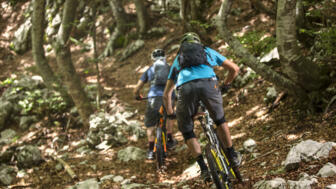 Eine Mountainbike-Gruppe im Wald unterwegs auf einem Trail.