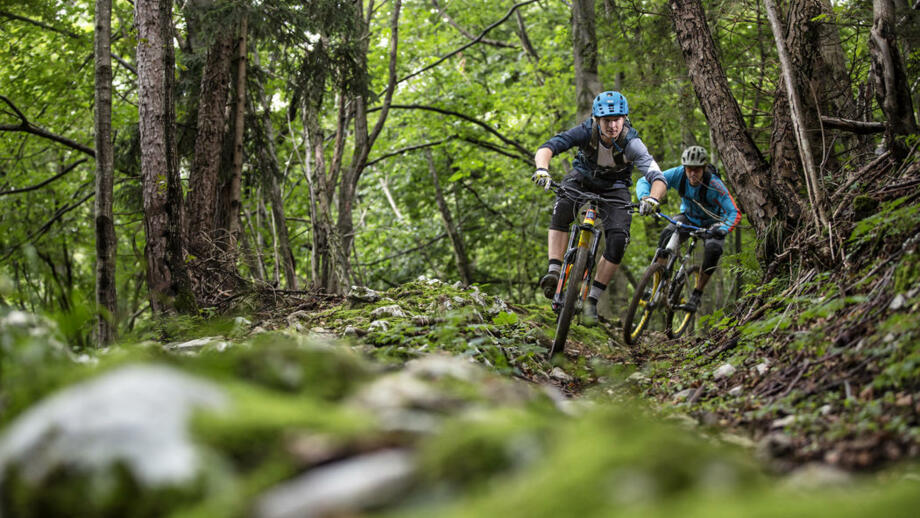 Eine Mountainbike-Gruppe im Wald unterwegs auf einem Trail.