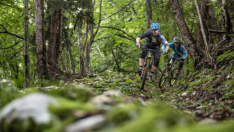 Eine Mountainbike-Gruppe im Wald unterwegs auf einem Trail.