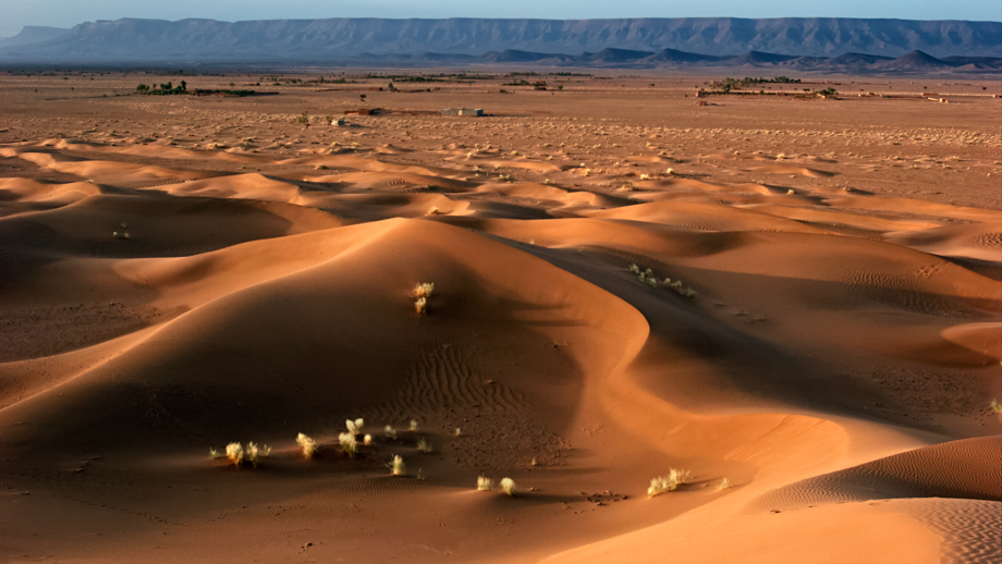 marokko-zagora-sahara-wüste-shutterstock_533356813.jpg