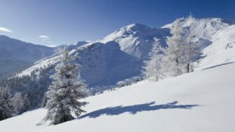 unberührter Tiefschneehang mit verschneiten Bäumen in den Tuxer Alpen nahe der Lizumer Hütte